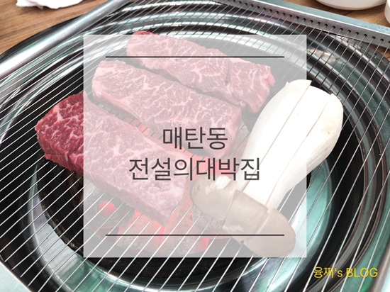 법원사거리 맛집 ) 착한 가격에 좋은 고기를 즐길 수 있는 매탄동 고기집, 전설의대박집