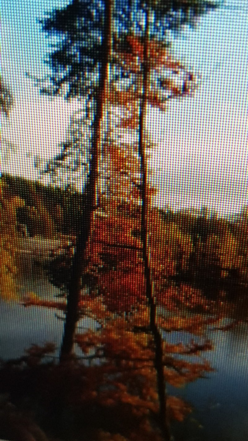 특별한 작업을 하거나 많은 코어를 다 활용하여 : 네이버 블로그