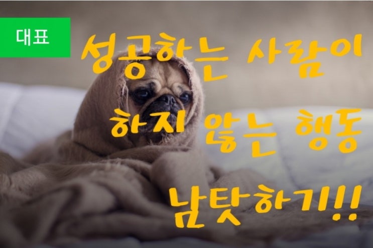  잘되면 내 탓, 안되면 남 탓
