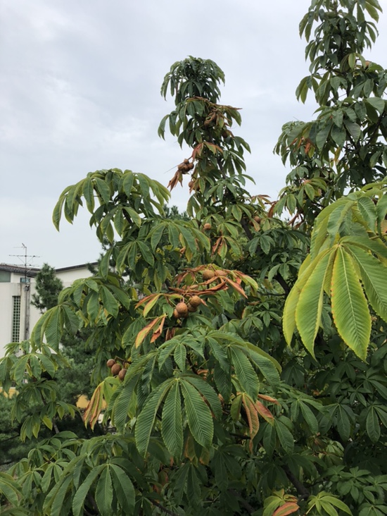  9월 첫 일기