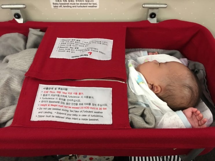  18개월에 비행기 13회 탑승! 전직승무원 엄마가 알려주는 아기와 비행기타는 꿀팁 / 방콕-나트랑 / 18개월아기와 나트랑여행