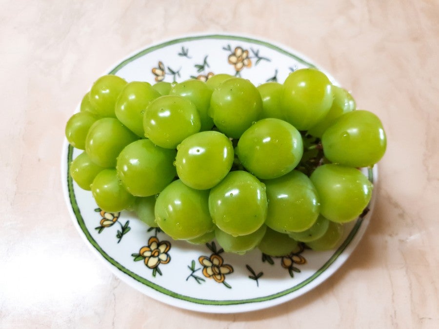 말미골 사진 4