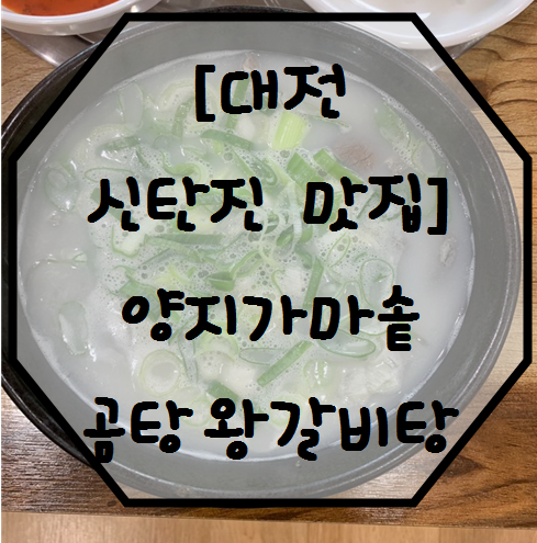  [ 대전 신탄진 맛집 ] 양지가마솥곰탕왕갈비탕먹고 막국수까지 클리어