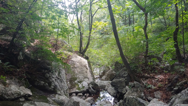 산에서 길을 잃다. 산에서 길 잃었을때 대처 방법