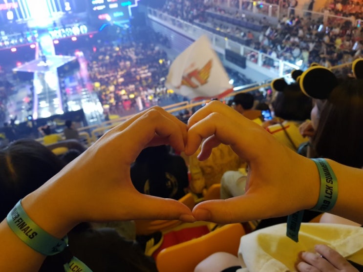  2019 롤챔스 LCK 서머 결승 직관 후기 1탄 / 고려대학교 화정체육관 2층 A구역 좌석 시야 굿(feat. 오프닝, 퍼즈)