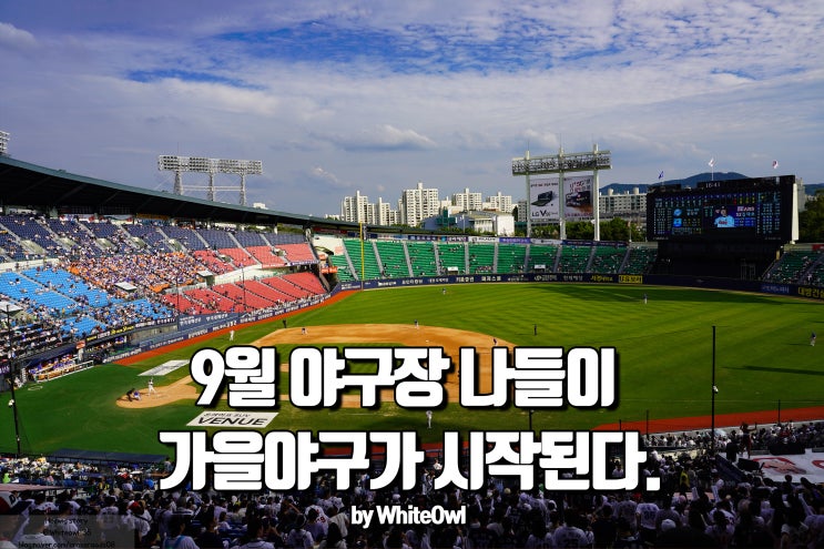  프로야구 두산베어스 잠실 관람 후기 두린이데이 이겼데이! 삼성전