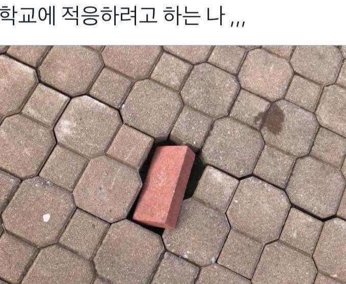  [34번째일상] 9월 첫째주 :: 09.01 - 09.07