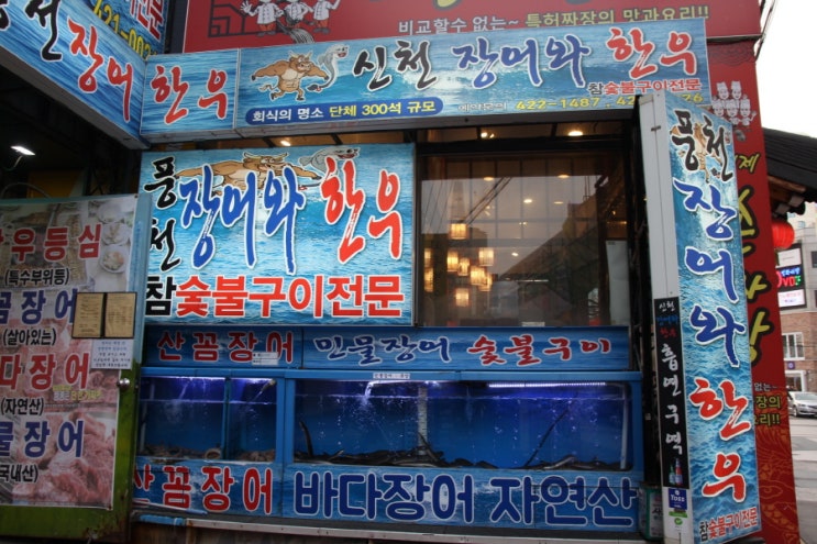  잠실새내장어 신천장어와 한우 소개할게요
