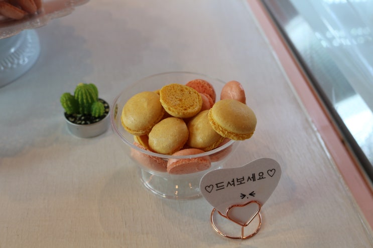  꼬마마카롱 : 제주시 아라동마카롱 맛집