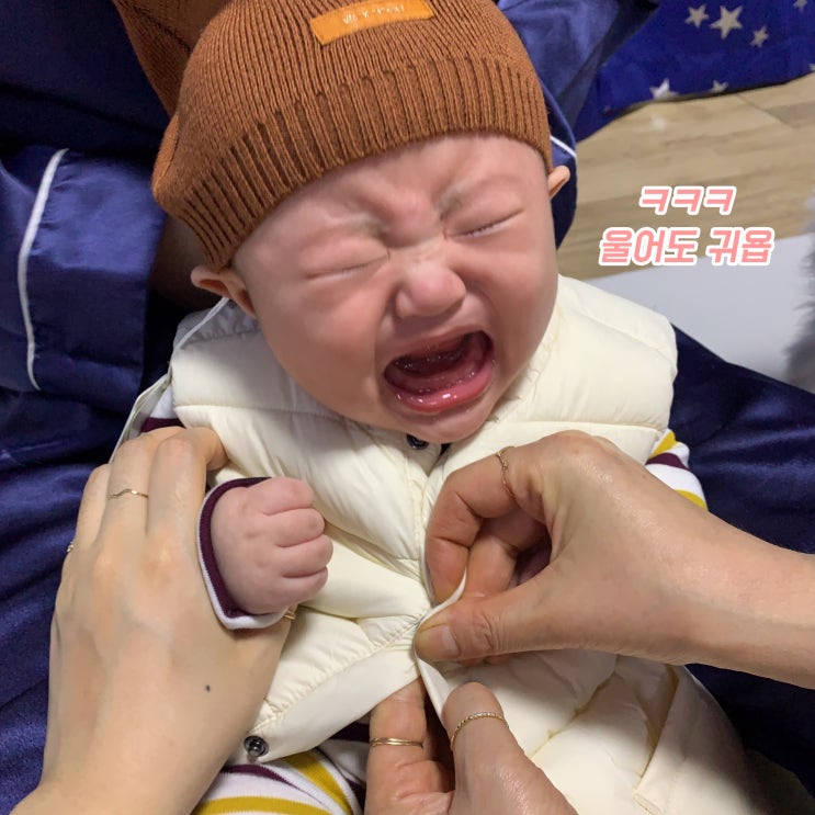  이모는 팔불출 조카 첫 이유식 자랑기! (그리고 내 브이로그도)