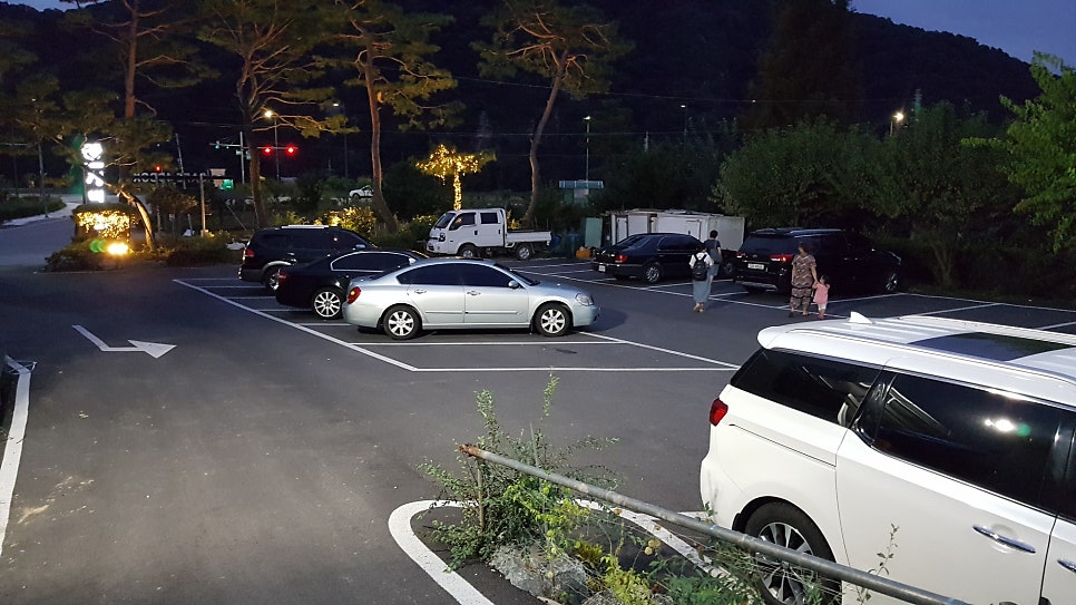청벽향 사진 3