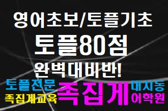  토플80점 목표 영어초보 대비반_뉴토플