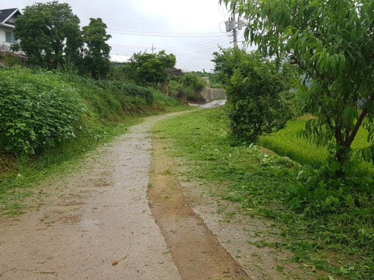 장모님과 남창떡 장모님과 남창떡