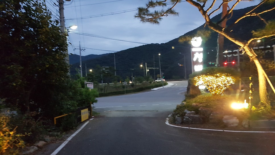 청벽향 사진 2