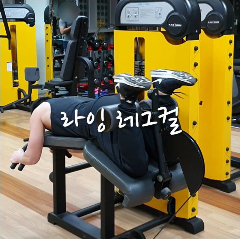 라잉 레그컬 허벅지 뒷근육 튼튼하게 : 네이버 블로그