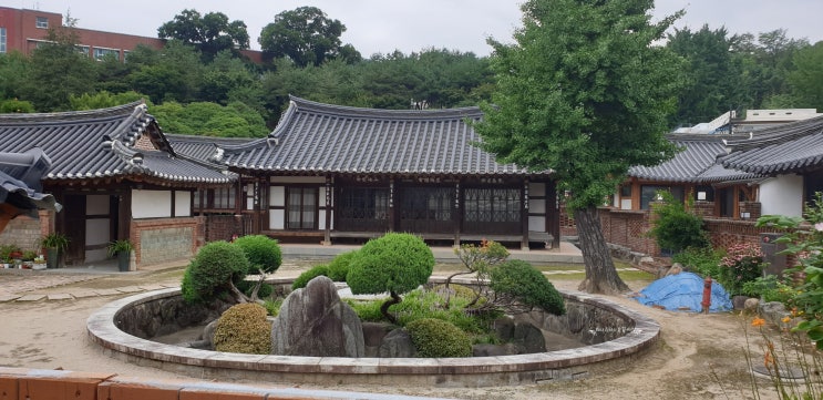  광주 양림동 이장우가옥- 양촌길?골목이쁘당