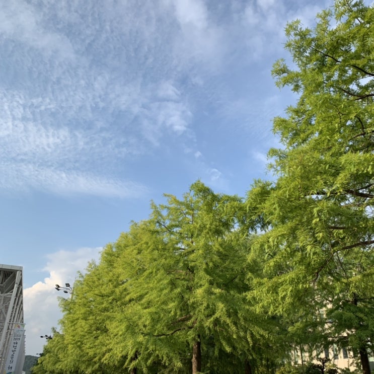  당신은 당신을 얼마나 좋아하나요?
