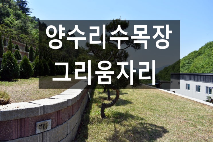  양수리수목장 경치가 아름다워요.
