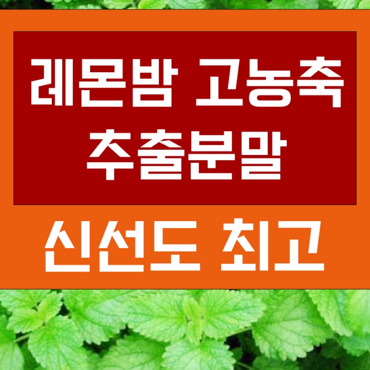  레몬밤추출분말 효능과 먹는법 [레몬밤가루 파는곳]