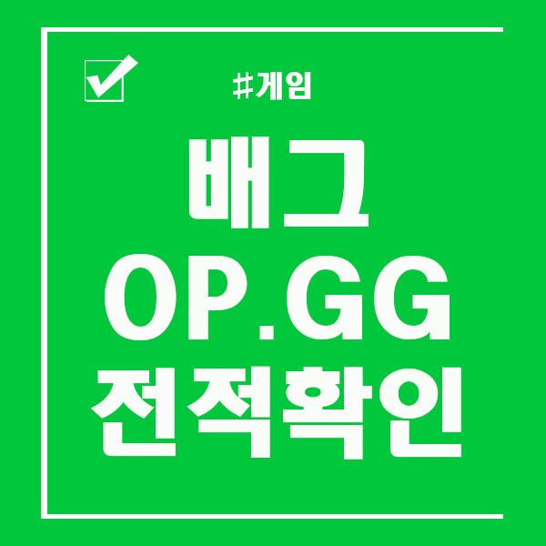  배그 OP.GG 오피지지 전적확인 하는법