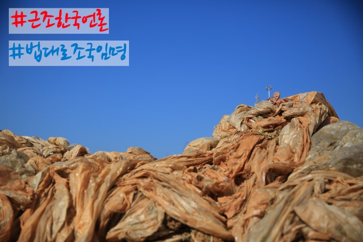  #근조한국언론#법대로조국임명