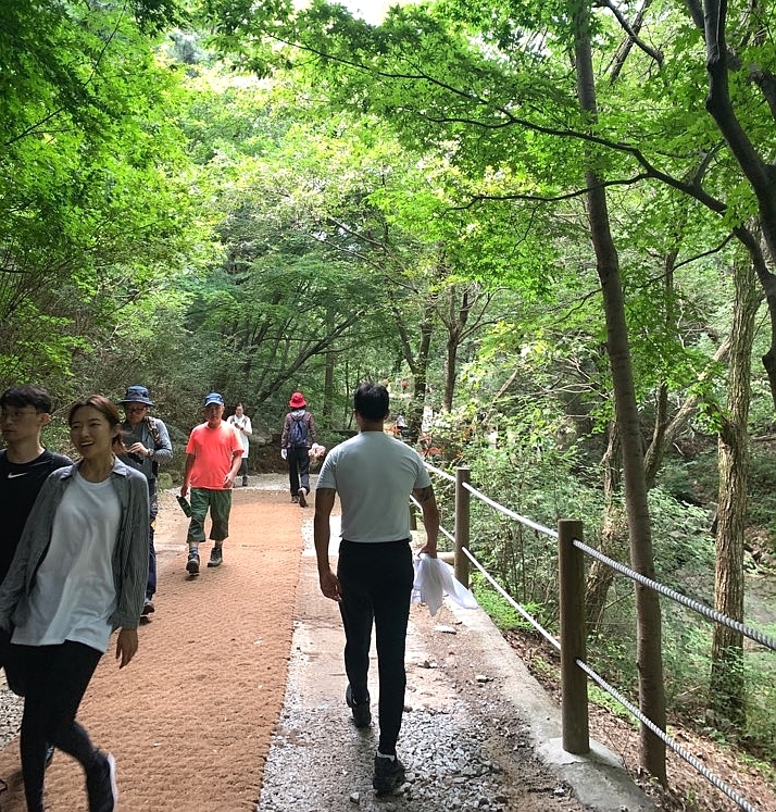  청계산 등산, 정상 막걸리 공격