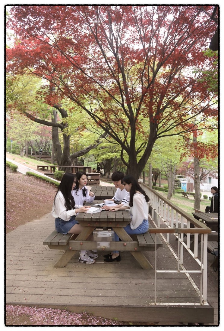  세계화 시대에 부응하는 인재양성, 경기대학교 관광문화대학 내가다닐 학과를 모집일은 언제인지 살펴볼까요