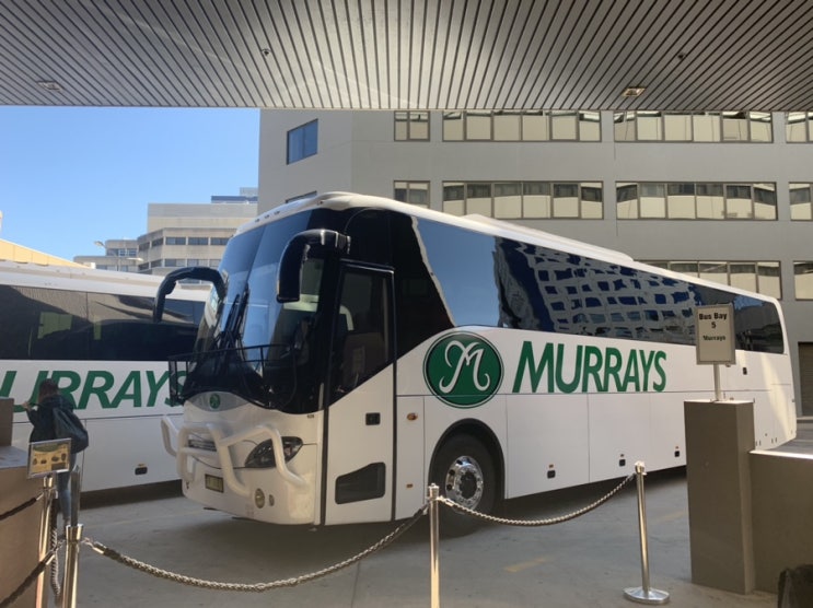  1박2일 캔버라 여행 From Wollongong to Canberra. (Day-56/57)