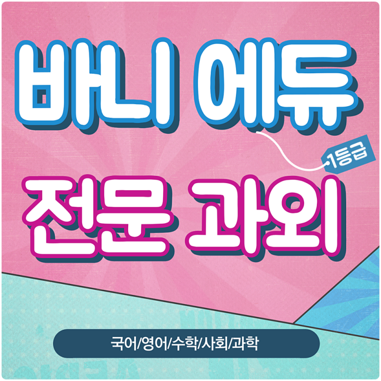  고3 현역 재수생 반수 수능 정시 파이널 봉투모의고사 과탐 사탐 화상과외 최저맞추기 국영수 인강강사 이과황