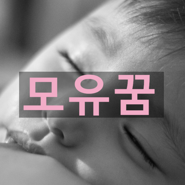 ◈ 모유꿈 해몽 ◈