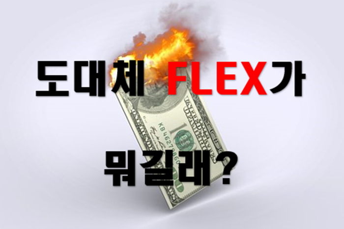 FLEX 뜻 돈펑펑쓰다