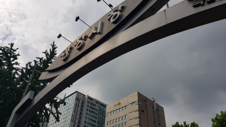 서울 여행 : 광장시장 먹방 투어 / 순희네 빈대떡 / 삼모녀 마약 김밥 / 육회 / 홍진영 자매 따라하기