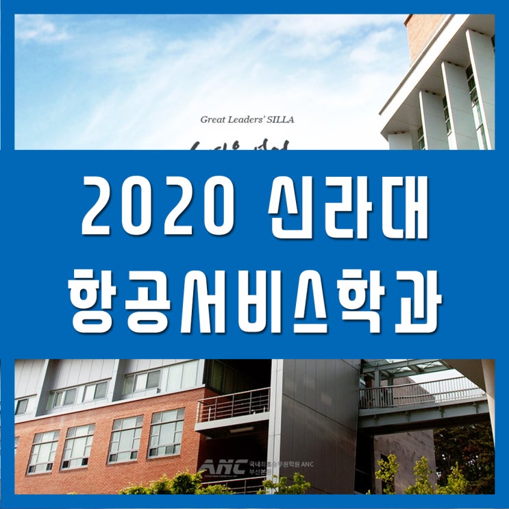  신라대학교 항공서비스학과 입시정보 완전분석