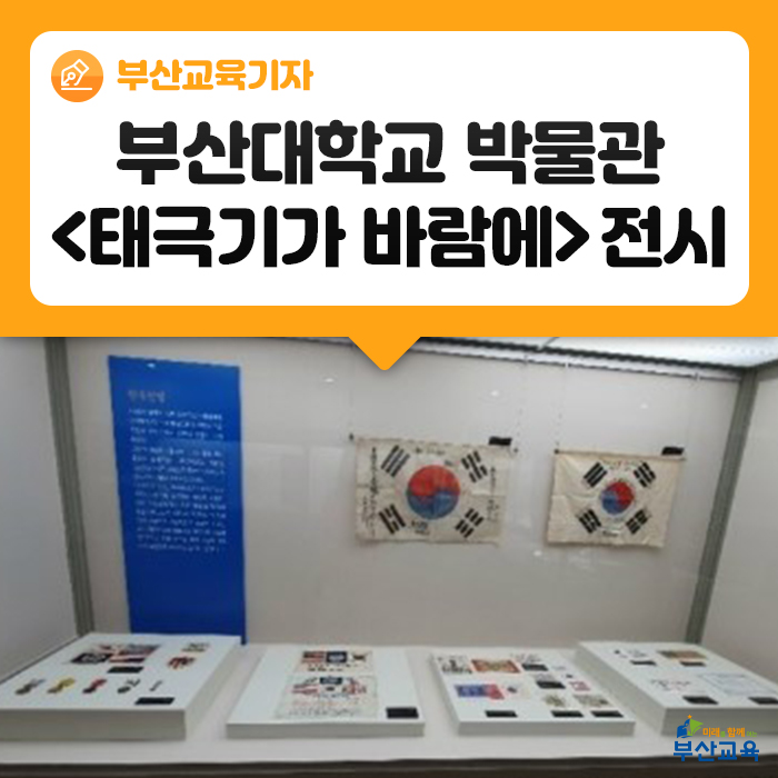  여름방학 견학 시리즈(5)  부산대학교 박물관 '태극기가 바람에' 특별전