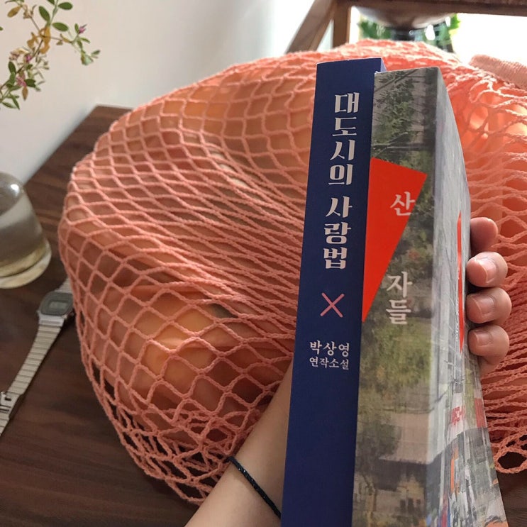  내 여름은 (1)