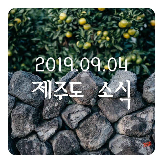  9/4 제주도 날씨 강력 태풍 '링링' 제주 직격탄 '비상'