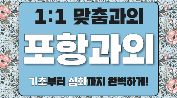  포항 두호동 영어과외 초등 장성동 초등학생 중등과정 선행학습