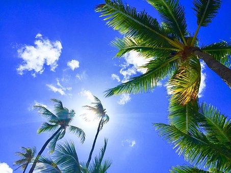 [여행정보] 하와이 호놀룰루 자유여행 정보, 그리고 하와이의 10월 11월 12월 날씨를 알아보자
