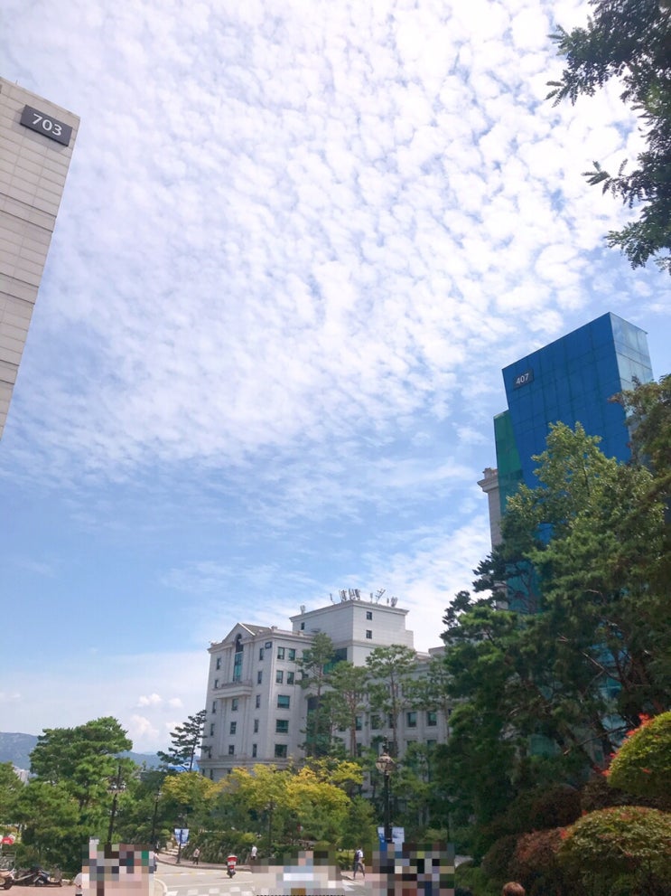 오늘의 학식 오늘의 학식