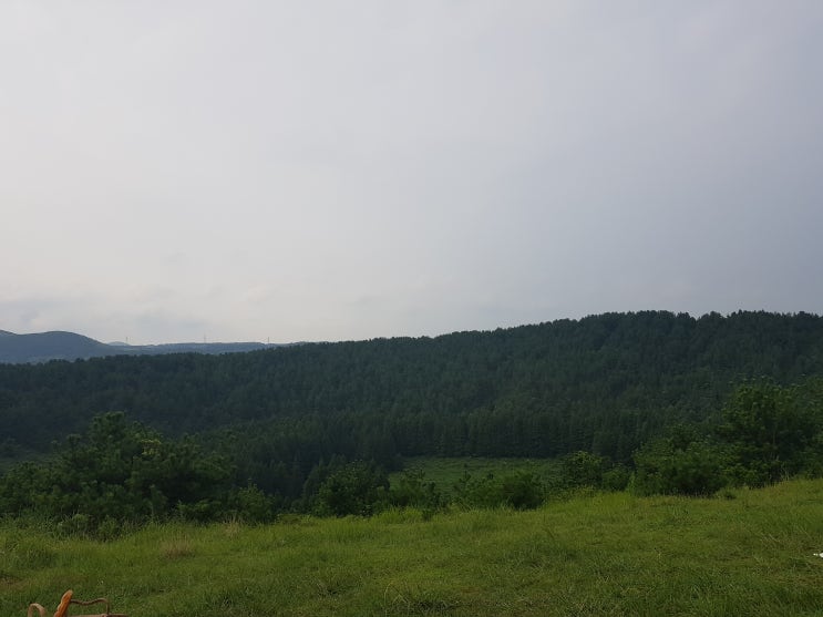  제주 아부오름 산책하고 피크닉도 즐기기