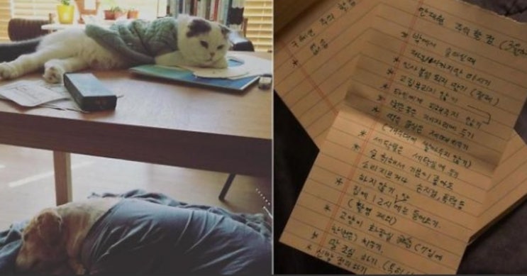  구혜선 인스타 안재현 각서 공개 : 손찌검, 폭력하지 않기?