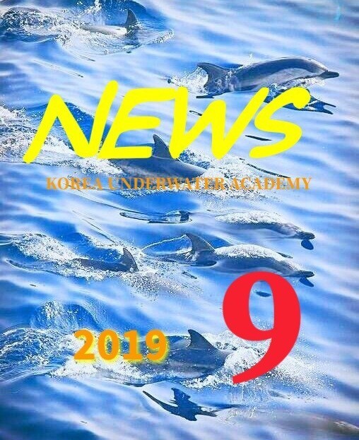  2019년 9월 4일 수요일 NEWS