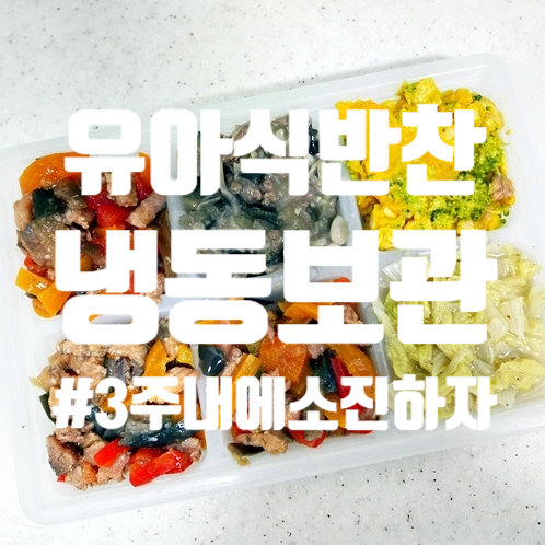  아기반찬 냉동 보관하기