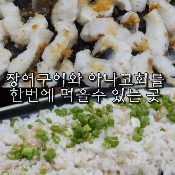  부산 장어구이 맛집 장어만 공격한다!