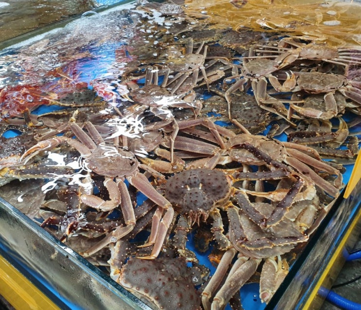  소래포구 대게 맛집 : 대게천국에서 배 터질 뻔