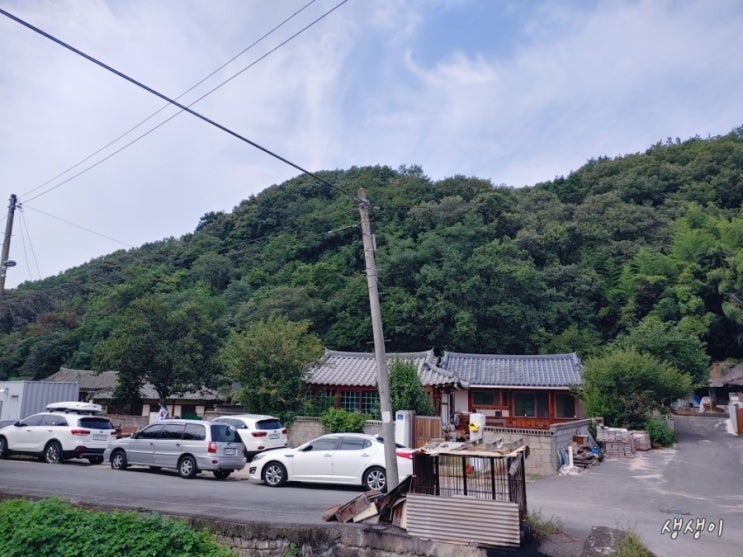  벌초 , 왜가리서식지 ,13호태풍 링링