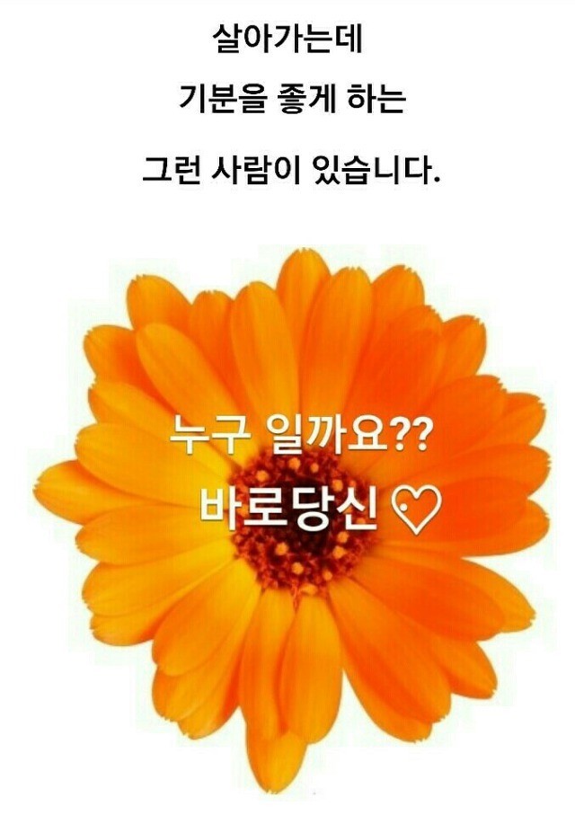  제주 가을장마 강수량 600mm...13호 태풍 링링 '어쩌나'