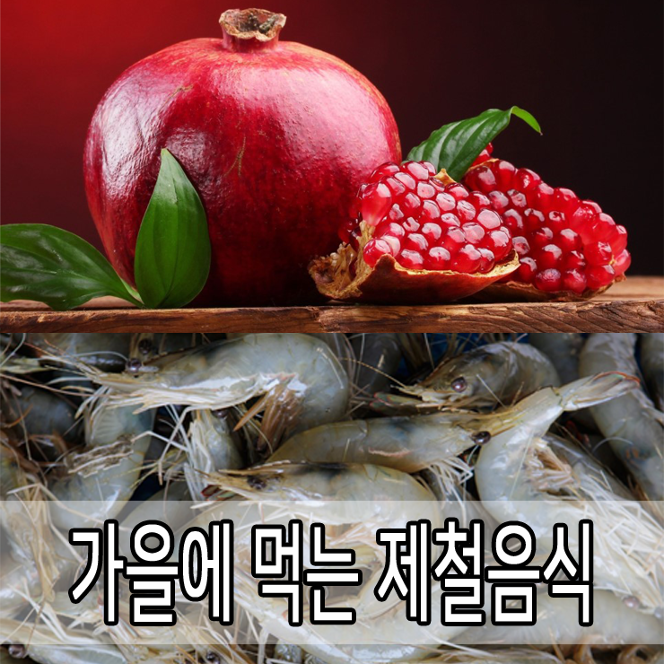 [가을에 좋은 제철음식] * 9월에 먹는 좋은음식 * 전어/버섯/고구마/석류/대하 몸에좋은 음식 으로 건강을 챙기세요.