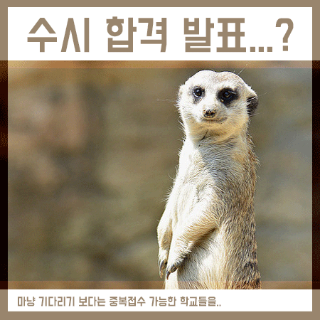  수시합격발표 마냥 기다리기 보다는 도전을!