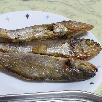  생생정보통 골프채갈비탕 남양주 본가부산식당 오징어순대 인천 강화 갯배생선구이
